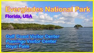 Florida, Road trip to Everglades NP - Florida, Gulf, Flamingo Visitor Center, Royal Palm | 미국자동차여행