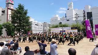 おかやましんきん連　うらじゃ2024下田町公園演舞場2日目