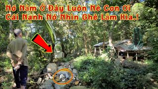 Khám Phá Núi Cấm Bất Ngờ Phát Hiện \