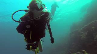 GoPro Adventure Travel - Djibouti \u0026 Whale Sharks