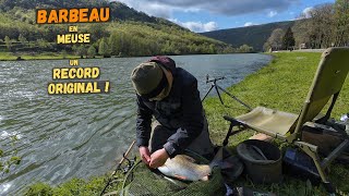 Capture d'un poisson record original en Meuse !