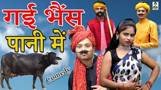 गई भैंस पानी में ll Bhens Gae Paani Me I Comedy I New Comedy 2022 I Primus HD Cassette