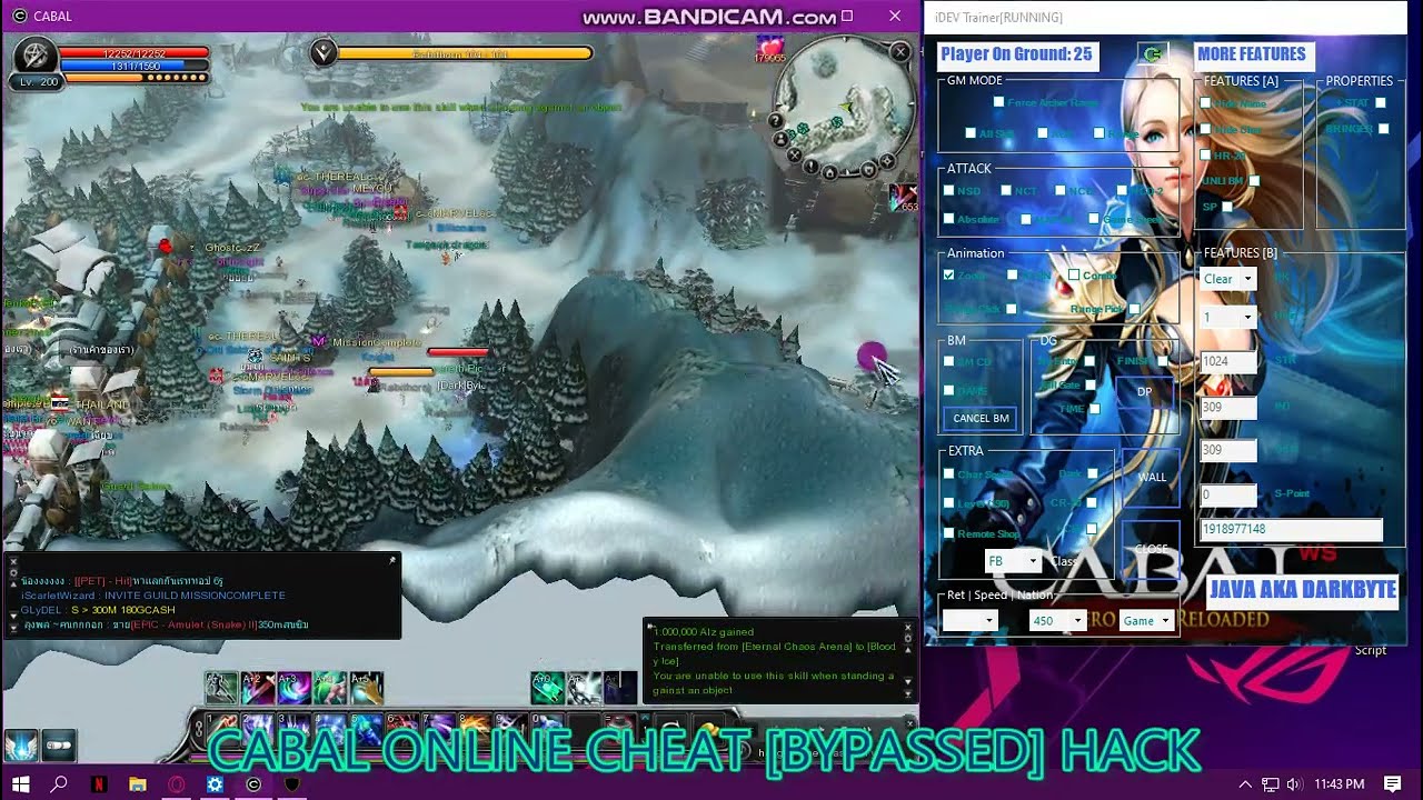 Cabal Online Cheat Hack Bypass Available For Cabal Securities Youtube