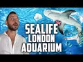 ABSOLUTE BEST Tips for Visiting Sea Life London Aquarium in 2024