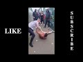 jaw dropping street fights must watch compilation