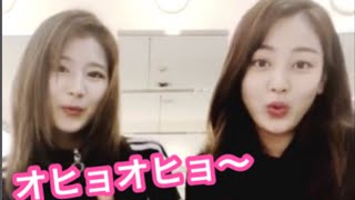 【TWICE】サナとジヒョのオヒョオヒョ〜