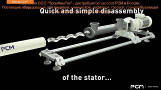HyCare™ Progressive Cavity Pump (13HY12)