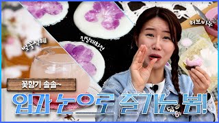 꽃이 활짝! 설레는 봄 | 두근두근 경남 (KBS 2024.04.09 화 방송)