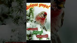 ❄️ Доброе Зимние Утро ☕ Хорошего Чудесного Дня 🤗