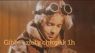 Gibbs - złoty chłopak 1h