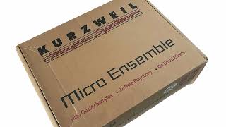 KURZWEIL Micro Ensemble ME-1 (2002) Sound Module Part 1