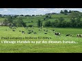 [Projet Resilience for dairy] L’élevage laitier irlandais vu par les français