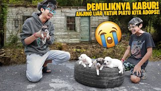 KASIHAN! ANAK ANJING LUCU DIBUANG DIJALAN SAMBIL MENANGIS LIHAT PEMILIKNYA KABUR!!!