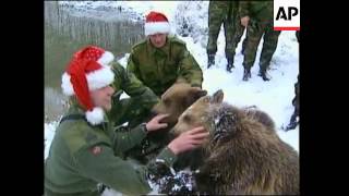 NATO peacekeepers play with orphaned bears