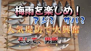 【沼津釣行】梅雨の恒例行事。人気堤防にサバとアジは入っているのか？