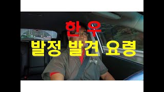 [한우수정사] 한우 발정발견 요령