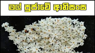 මල් පූජාවේ ආනිසංස