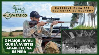 Javali enorme entrou na espera! Carabina puma 357 com Pard 007Sp lrf deu conta do recado?