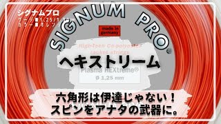 『六角形は伊達じゃない！スピンをアナタの武器に。』ATPランキング最高8位のマティオ・ベレティーニ選手の活躍を支えるドイツのストリングメーカー、シグナムプロ。