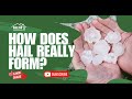 How Hail Really Forms: The Science Behind Those Ice Pellets