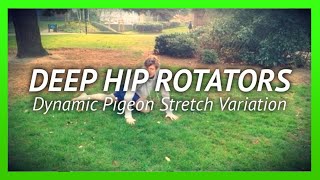 Piriformis Stretch for Runners - Dynamic Pigeon Pose