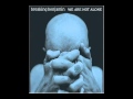 Breaking Benjamin - Firefly (Lyrics)
