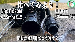 235日【NOCTICRON f1.2】同じ42.5mmをGH6で比較してみる【LUMIX G f1.7】