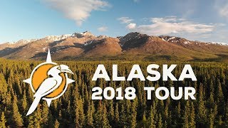 Alaska - Birding and Wildlife Tour 2018