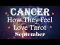 CANCER - They've Had A Big Transformational Shift! They're Ready To Manifest This Love With You🌹❤️‍🔥