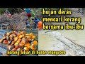 MENCARI KERANG LOKAN BERSAMA IBU-IBU di hutan mangrove