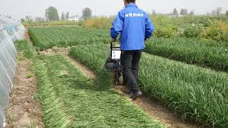 Leek harvester