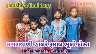 magaravali halre rumal bhulo dost મગરાવાળી હાલરે રૂમાલ ભૂલો દોસ્ત ll netaram Garashiya new song 2025