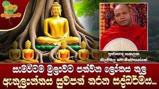 Ven Hasalaka Seelawimala Thero | 2024-10-25 | 12:30 PM (ඇතුලාන්තය සුවපත් කරන ශ්‍රී සද්ධර්මය...)