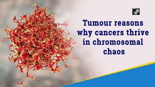 Tumour reasons why cancers thrive in chromosomal chaos