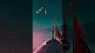 abbas tere dar sa duniya mein dar kahan status | muharram status naat | Rahat Fateh Ali Khan