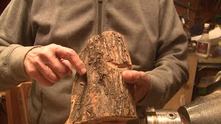 Beautiful Olive Wood Scrap - Wood Turning