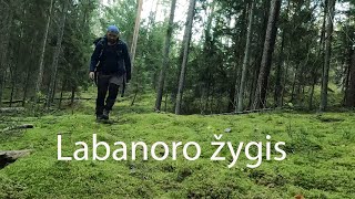 12 ežerų žygis Labanoro girioj. I dalis.