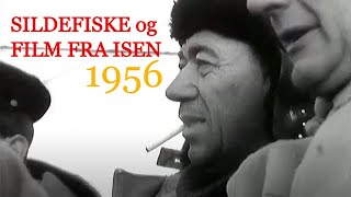 Sildefiske og film fra isen - 1956.