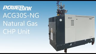 PowerLink ACG30S-NG Natural Gas CHP Unit