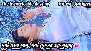 The inextricable destiny full movie bangla explanation ||Nf fantasy