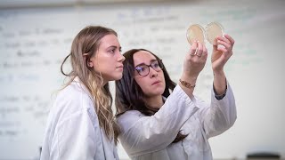 A pig helped Linfield students provide important data for a crime lab