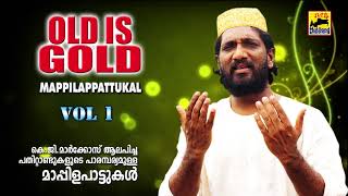 ഓൾഡ് ഈസ് ഗോൾഡ് പഴയ മാപ്പിളപ്പാട്ടുകൾ  Old Is Gold Mappila Pattukal | Malayalam Mappila Songs