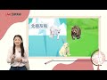 【live互動英語：20230531】動物趣聞：令人驚奇的混種動物 2