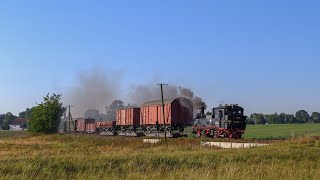 Mit IV K Dampfloks und Tornados über die sommerliche Döllnitzbahn - Wilder Robert