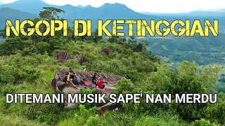 Bukan Camping | ADEM!!! Perpaduan Hutan Kalimantan dan Musik Sape' Dayak : Dua Peluh ft. Kawan Lama