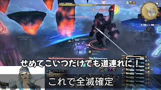 【FF14】世界最強の巨人を倒した瞬間