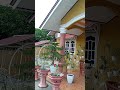 VIRAL!!! RUMAH MEWAH DI KAMPUNG TG.BATU KUNDUR