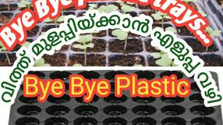 #EASY WAY TO #GROW #SEED #വിത്ത് #NATURAL WAY #Bye bye #plastics #Trays