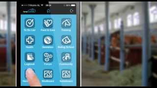 Horsecount mobile: Horseboard mobile