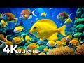 The Best 4K Aquarium - Dive Into The Mesmerizing Underwater Realm, Sea Jellyfish, Coral Reefs #9